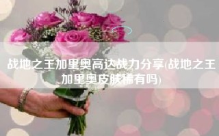 战地之王加里奥高达战力分享(战地之王加里奥皮肤稀有吗)