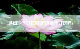 逃出地牢好玩吗(挺进地牢好玩吗)