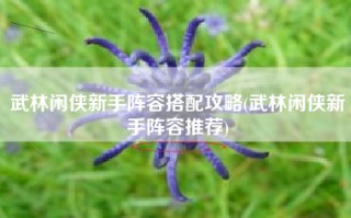 武林闲侠新手阵容搭配攻略(武林闲侠新手阵容推荐)