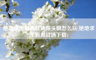 绝地求生刺激战场探头瞬怎么玩(绝地求生刺激战场下载)