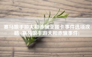 赛马娘手游大和赤骥支援卡事件选项攻略 (赛马娘手游大和赤骥事件)