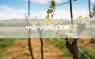 宁倩(宁倩华和高婕)