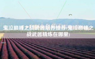 鬼泣巅峰之战武器培养推荐(鬼泣巅峰之战武器精炼在哪里)