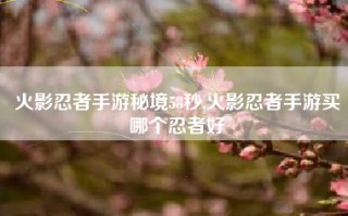 火影忍者手游秘境58秒,火影忍者手游买哪个忍者好