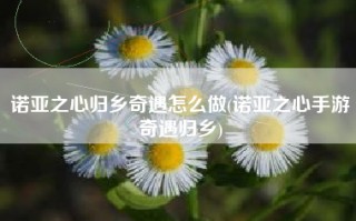 诺亚之心归乡奇遇怎么做(诺亚之心手游奇遇归乡)