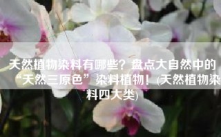 天然植物染料有哪些？盘点大自然中的“天然三原色”染料植物！(天然植物染料四大类)