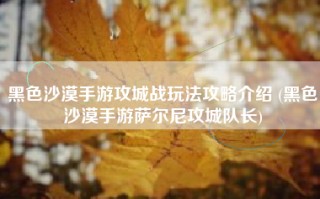 黑色沙漠手游攻城战玩法攻略介绍 (黑色沙漠手游萨尔尼攻城队长)