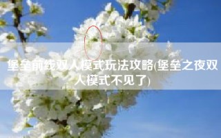 堡垒前线双人模式玩法攻略(堡垒之夜双人模式不见了)