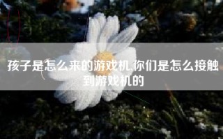 孩子是怎么来的游戏机,你们是怎么接触到游戏机的