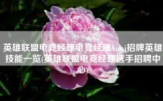 英雄联盟电竞经理电竞经理Xinyi招牌英雄技能一览(英雄联盟电竞经理选手招聘中心)