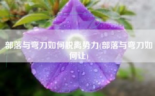 部落与弯刀如何脱离势力(部落与弯刀如何让)