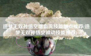 造梦无双孙悟空嗜血流技能加点推荐(造梦无双孙悟空被动技能推荐)