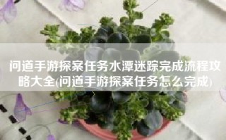 问道手游探案任务水潭迷踪完成流程攻略大全(问道手游探案任务怎么完成)
