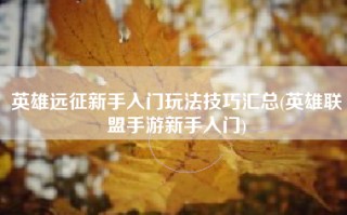 英雄远征新手入门玩法技巧汇总(英雄联盟手游新手入门)