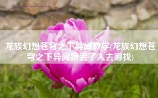 龙族幻想苍穹之下异闻教学(龙族幻想苍穹之下异闻跟丢了人去哪找)