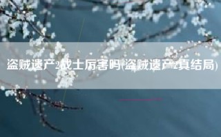 盗贼遗产2战士厉害吗(盗贼遗产2真结局)