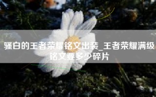 骚白的王者荣耀铭文出装_王者荣耀满级铭文要多少碎片