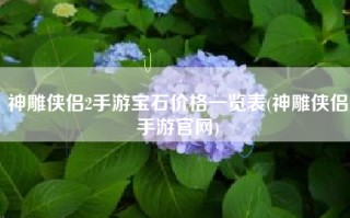 神雕侠侣2手游宝石价格一览表(神雕侠侣手游官网)