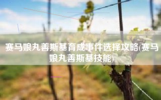 赛马娘丸善斯基育成事件选择攻略(赛马娘丸善斯基技能)