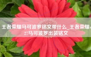 王者荣耀马可波罗铭文带什么_王者荣耀s27马可波罗出装铭文