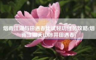 烟雨江湖与田遇春比试轻功任务攻略(烟雨江湖天山冰井田遇春)