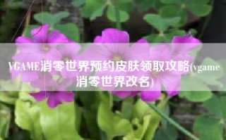 VGAME消零世界预约皮肤领取攻略(vgame消零世界改名)