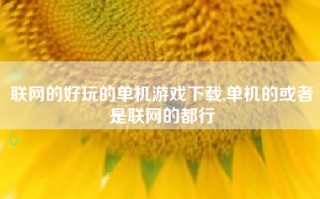 联网的好玩的单机游戏下载,单机的或者是联网的都行