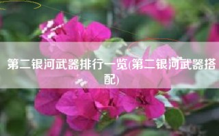 第二银河武器排行一览(第二银河武器搭配)