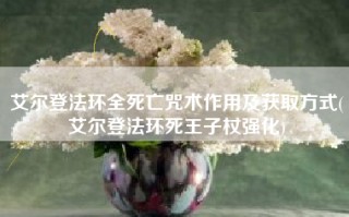 艾尔登法环全死亡咒术作用及获取方式(艾尔登法环死王子杖强化)
