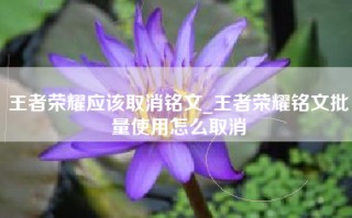 王者荣耀应该取消铭文_王者荣耀铭文批量使用怎么取消