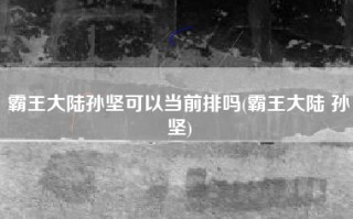 霸王大陆孙坚可以当前排吗(霸王大陆 孙坚)