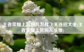 王者荣耀上官婉儿怎样飞天连招大全(王者荣耀上官婉儿头像)