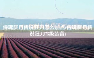 侍魂胧月传说狂刀怎么加点(侍魂胧月传说狂刀75级装备)