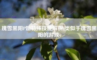 瑰雪黑阳P姐特殊技能解析(类似于瑰雪黑阳的游戏)