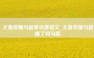王者荣耀马超带攻速铭文_王者荣耀马超捅了司马懿