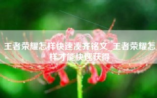 王者荣耀怎样快速凑齐铭文_王者荣耀怎样才能快速获得
