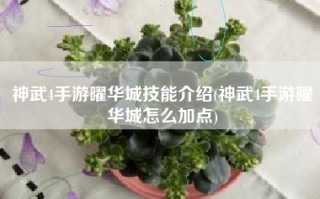 神武4手游曜华城技能介绍(神武4手游曜华城怎么加点)