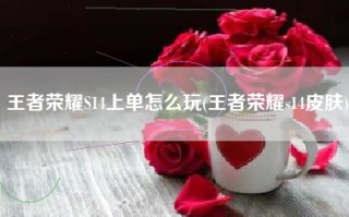 王者荣耀S14上单怎么玩(王者荣耀s14皮肤)