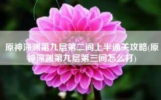 原神深渊第九层第二间上半通关攻略(原神深渊第九层第三间怎么打)