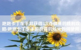跑跑卡丁车手游获得5次夺棋赛的胜利攻略(跑跑卡丁车手游获得的炫光如何使用)