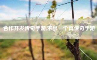 合作开发传奇手游,不出一个真传奇手游