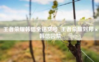 王者荣耀韩信全铭文号_王者荣耀刘邦×韩信囚禁