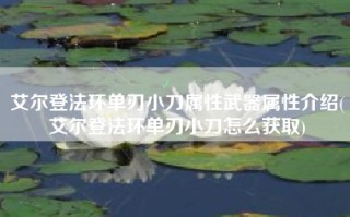 艾尔登法环单刃小刀属性武器属性介绍(艾尔登法环单刃小刀怎么获取)