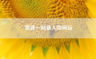 奇迹一刻新人如何玩