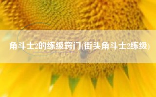 角斗士2的练级窍门(街头角斗士2练级)