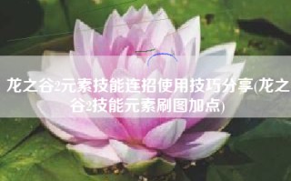 龙之谷2元素技能连招使用技巧分享(龙之谷2技能元素刷图加点)