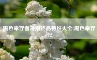 黑色幸存者特别物品特性大全(黑色幸存者2)