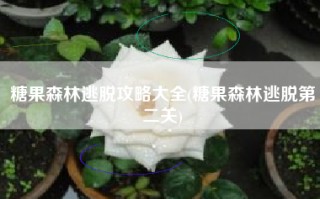糖果森林逃脱攻略大全(糖果森林逃脱第二关)
