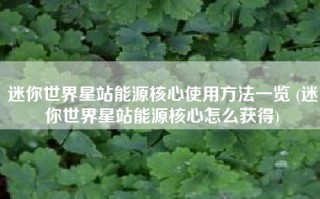 迷你世界星站能源核心使用方法一览 (迷你世界星站能源核心怎么获得)