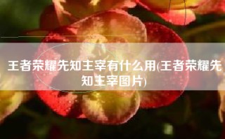 王者荣耀先知主宰有什么用(王者荣耀先知主宰图片)